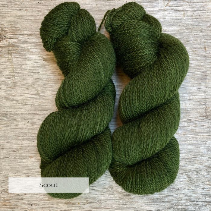 Two skeins of a jolly nice green wool