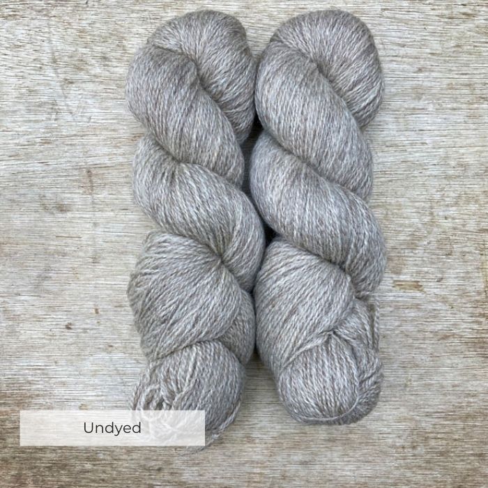 Two skeins of wool in a blend of white BFL and brown Masham