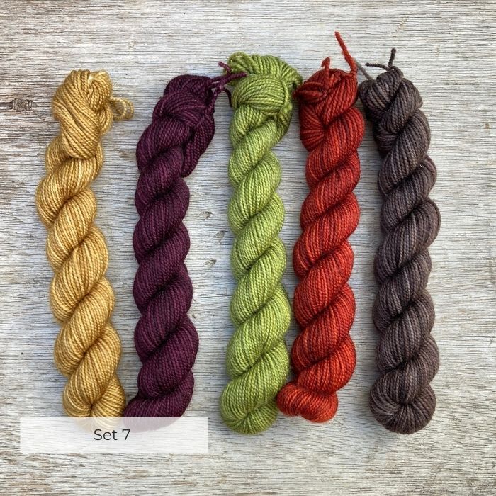 Five mini skeins of sock wool in autumnal shades
