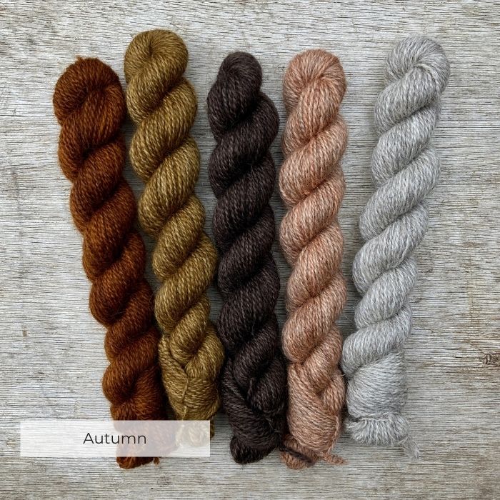 Five little mini skeins in autumnal shades of brown to coral
