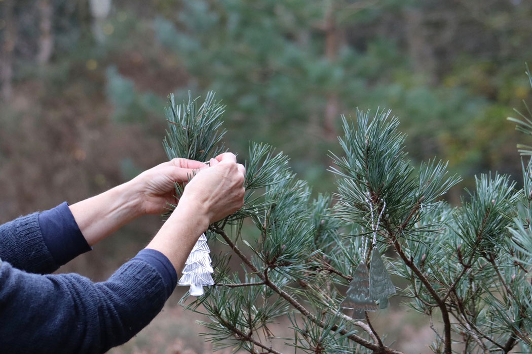 A pair of hands hanging shiny tree ornaments onto a fir branch