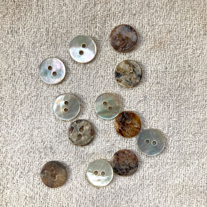12 small shell buttons