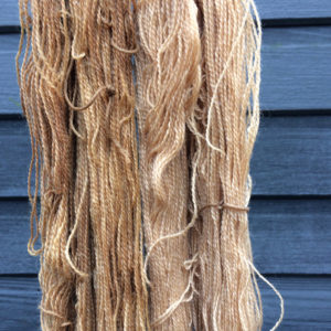 Corridale and eucalyptus