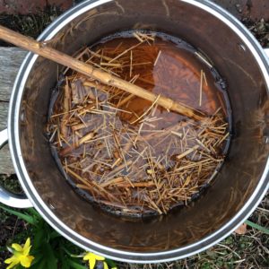 Cornus cooked