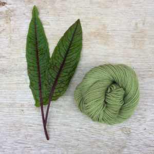 Two leaves of dock and a skein of green yarn