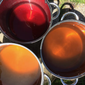 Three dye baths