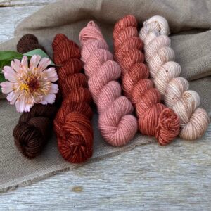 Five mini skeins in Classic Sock ranging from brown through to pale pink