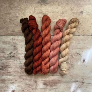 Five mini skeins in Classic Sock ranging from brown through to pale pink