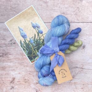 A full skein and two minis tied with a hand dyed ribbon and a photo of the flower that inspired their colours